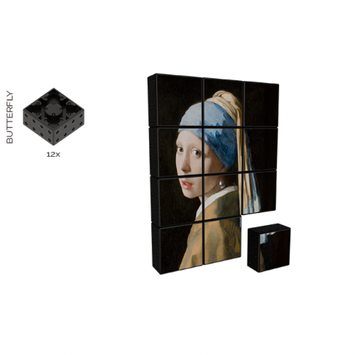 Magnetic Building Blocks Girl with a Pearl Earring (12 pieces)